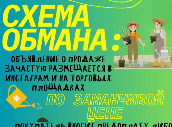 Мошенники и летний сезон: покупка садовой мебели без риска