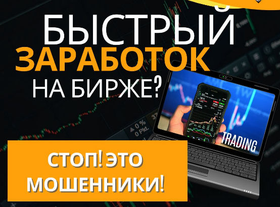Из борозды — в «криптобароны»: жители Минской области пытаются покорить цифровые биржи